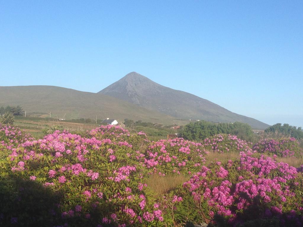 Achill Water'S Edge Bed & Breakfast Doogort ภายนอก รูปภาพ